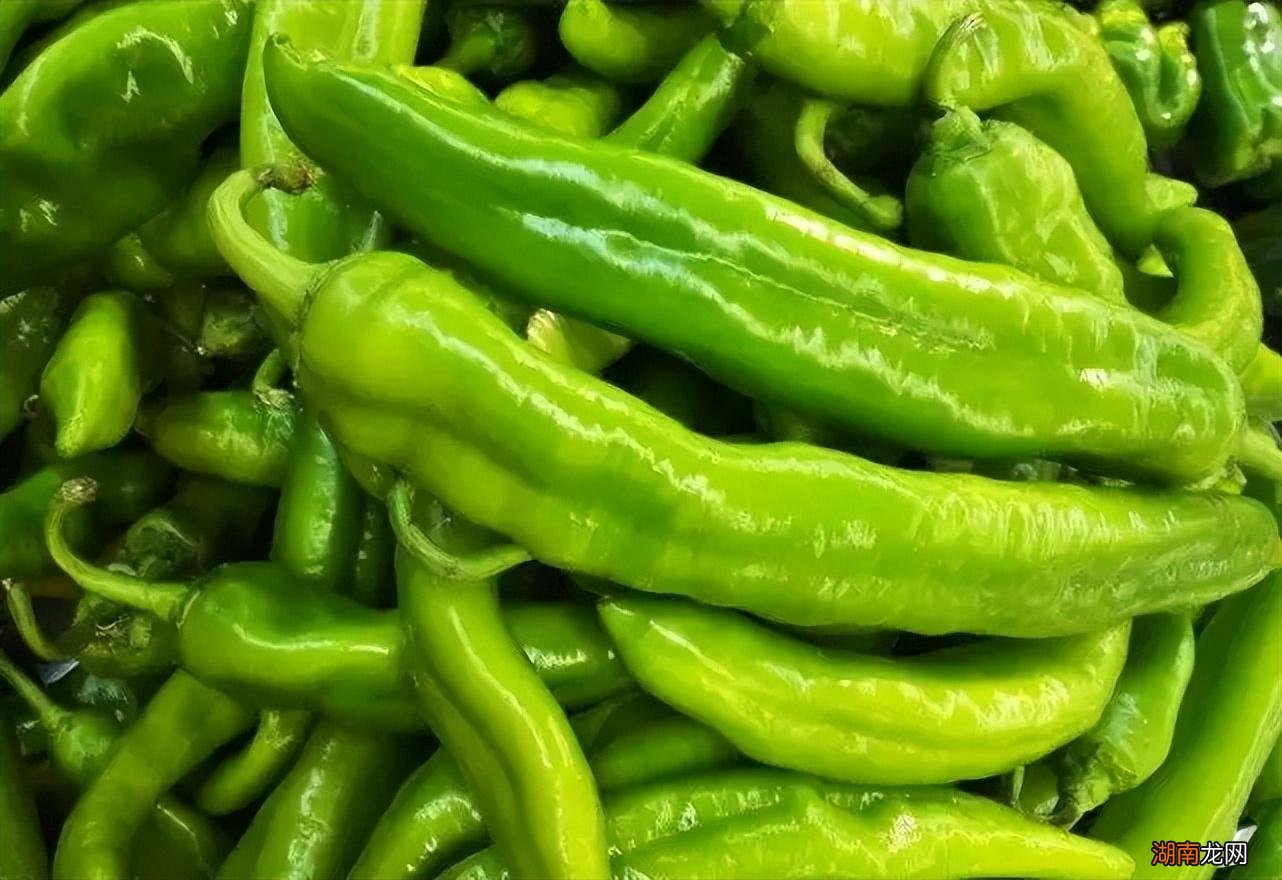 维生素食物排行榜前十名 维生素高的蔬菜排名