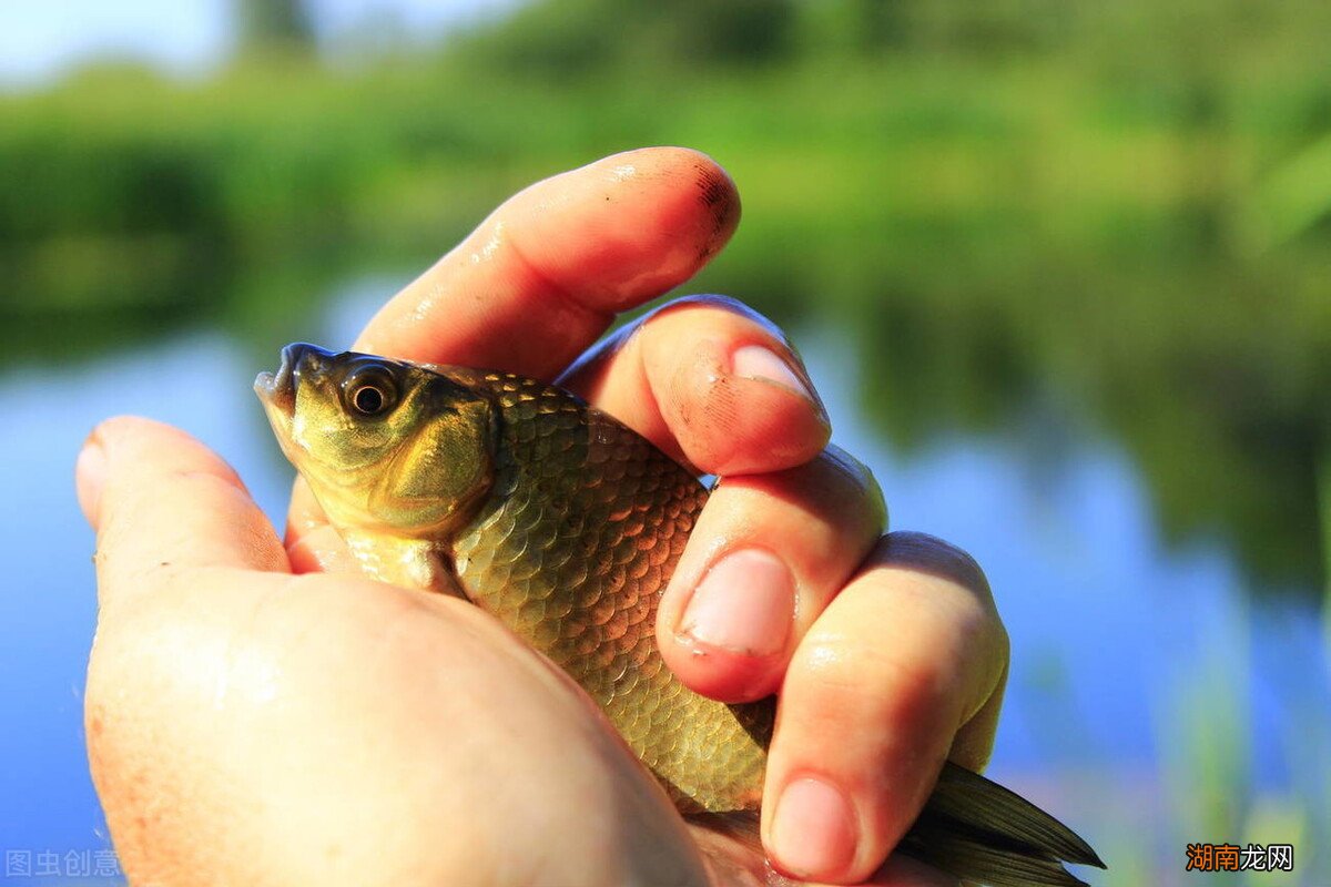 为什么暴雨后都伴随着狂口 雨后钓鱼鱼口好吗为什么