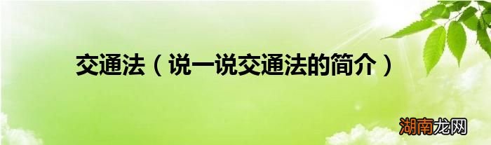 说一说交通法的简介 交通法