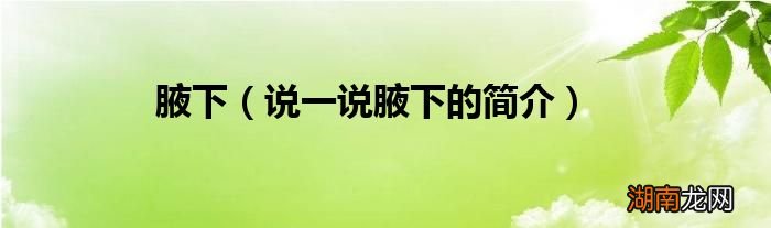 说一说腋下的简介 腋下