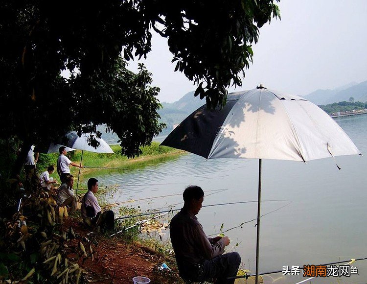 钓鱼的优点缺点以及注意事项 经常钓鱼的好处有哪些