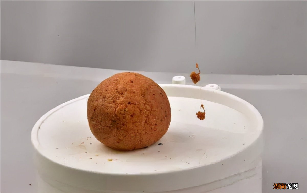 通杀鲫鱼和鲤鱼用什么饵料最好 钓鲤鱼鲫鱼饵料配方