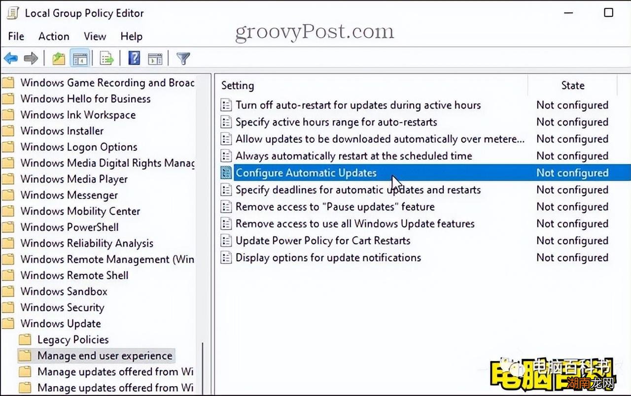 强制更新咋取消 windows11关闭自动更新关闭方法