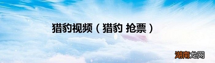 猎豹 抢票 猎豹视频