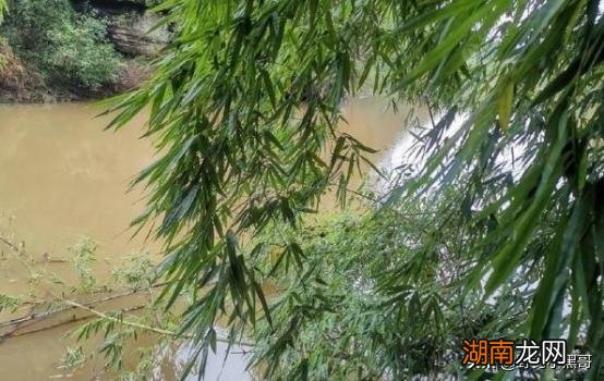 钓鱼口的时候要怎么搭配饵料 野钓阴天钓鱼口好吗