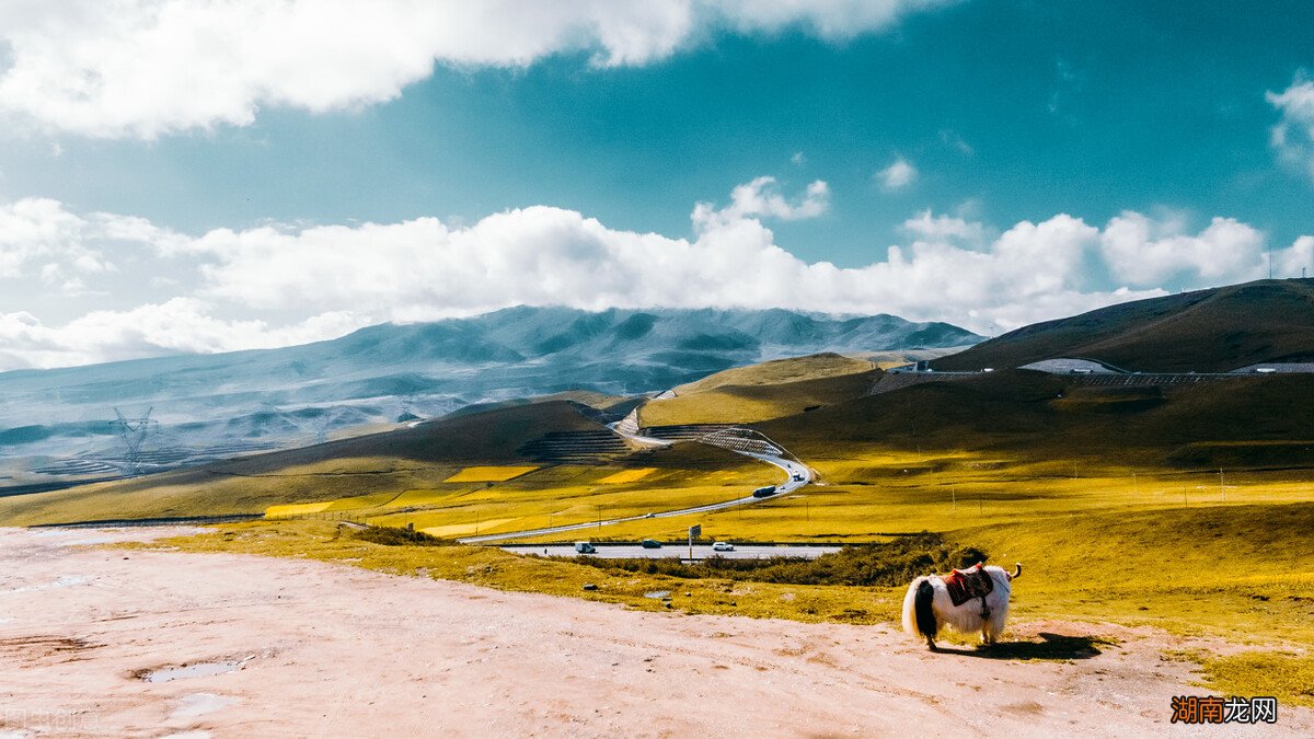 中国适合养老的城市 中国最适合养老居住的前十名城市