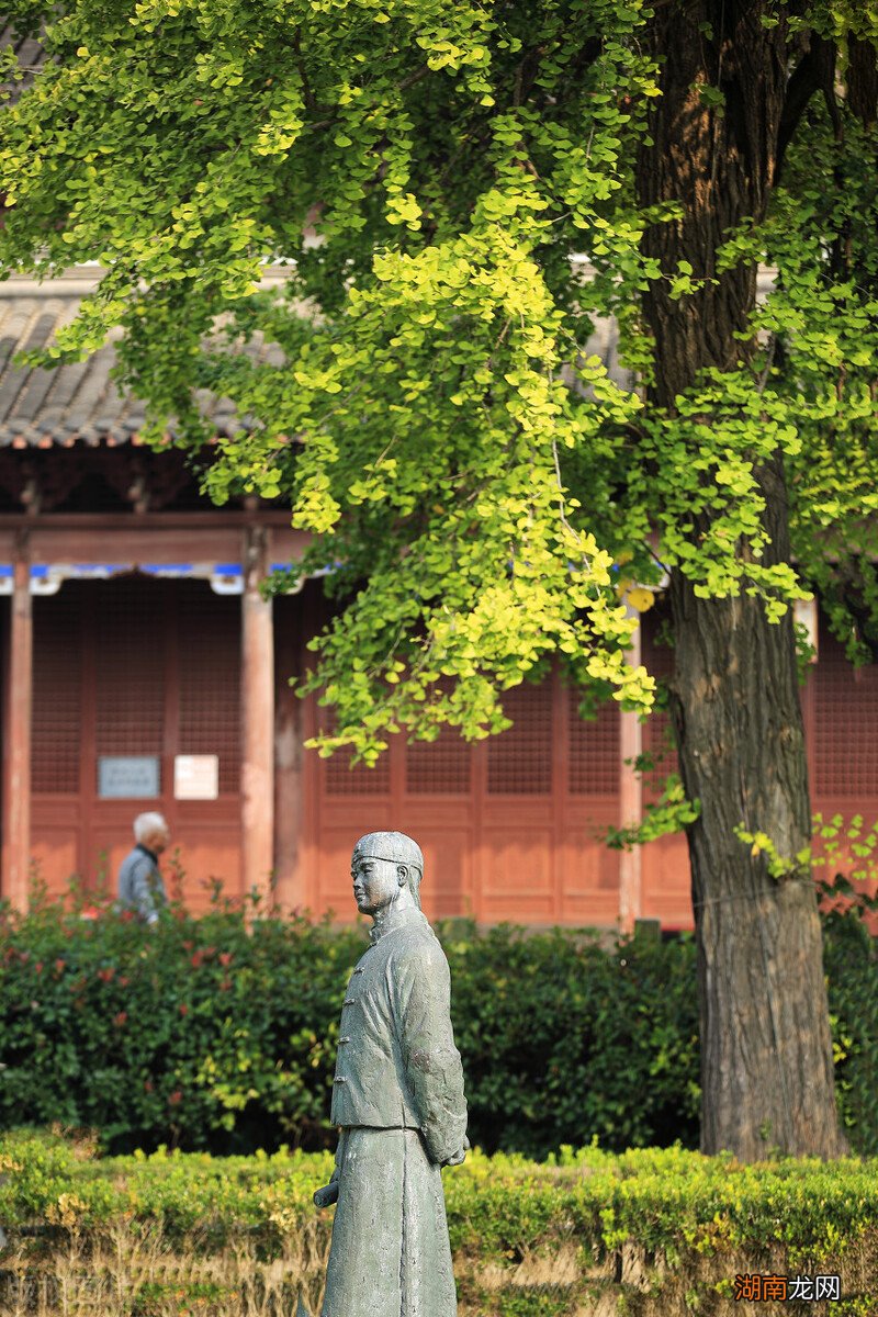 中国适合养老的城市 中国最适合养老居住的前十名城市