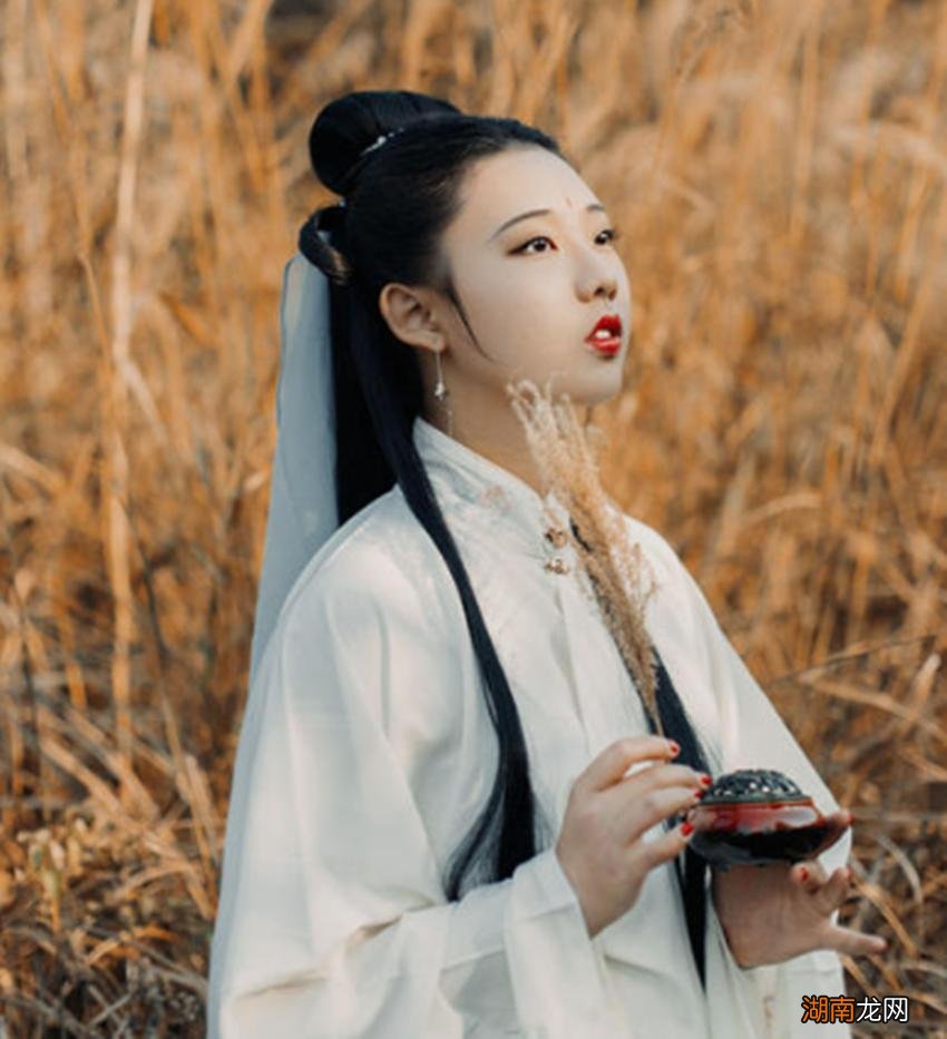 雪中悍刀行鱼玄机生平经历故事 鱼玄机的简介一生