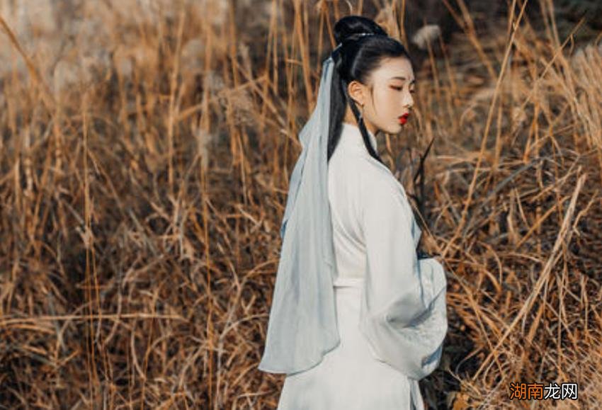 雪中悍刀行鱼玄机生平经历故事 鱼玄机的简介一生