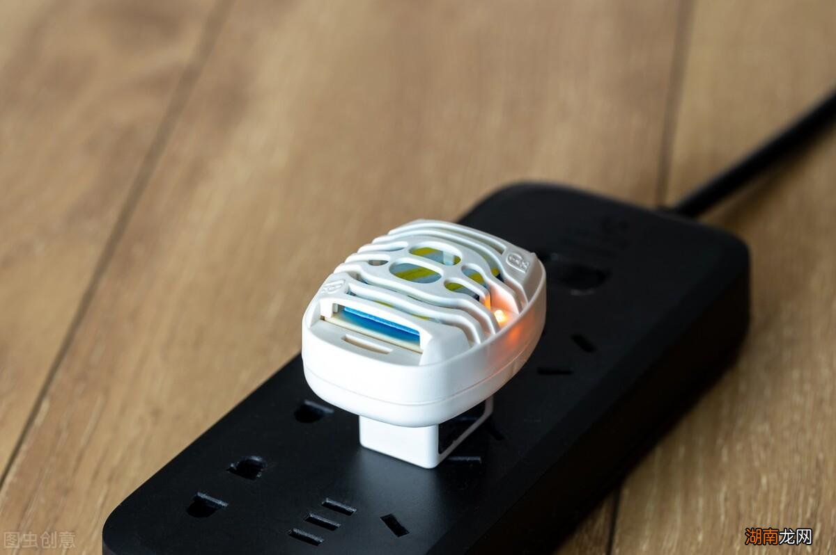 学会3招蚊子跑得干干净净 卧室一直有蚊子灭不完怎么办