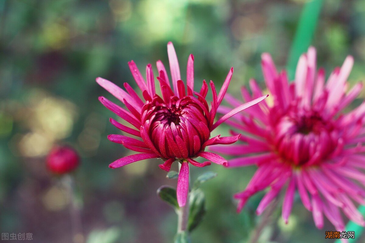 怎么去吊着一个男人让他朝思暮想 怎样吊着让他更想你
