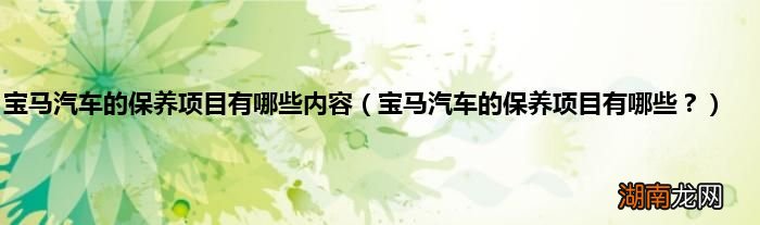 宝马汽车的保养项目有哪些? 宝马汽车的保养项目有哪些内容