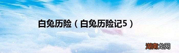 白兔历险记5 白兔历险