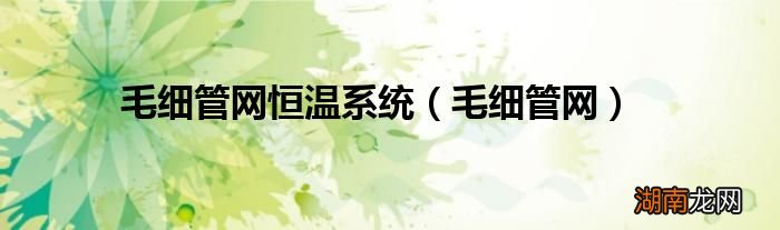 毛细管网 毛细管网恒温系统