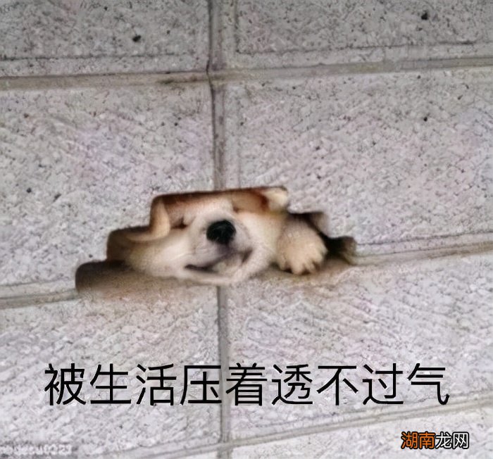 怎么理解一个世故的人有何表现 世故的人指什么样的人