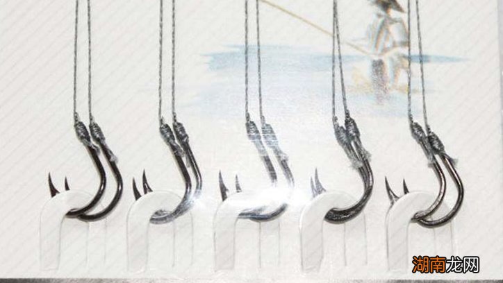 野钓罗非用什么饵料最好钓 钓大罗非的最佳饵料是什么