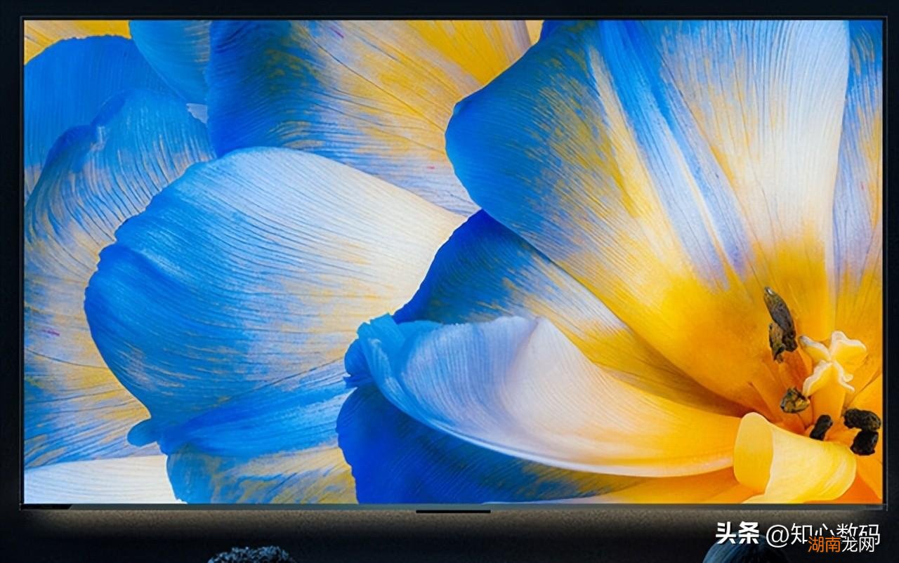 家里买哪款更值得 tcl和海信电视哪个好推荐