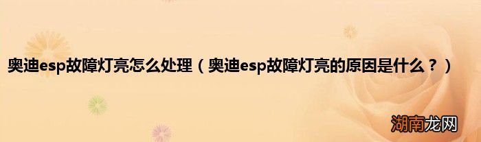 奥迪esp故障灯亮的原因是什么? 奥迪esp故障灯亮怎么处理