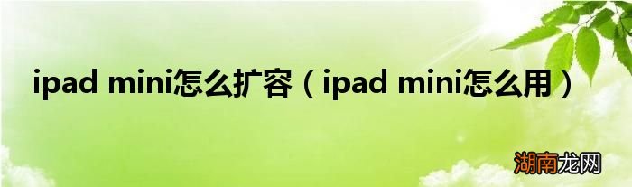 ipad mini怎么用 ipad mini怎么扩容