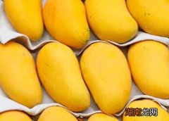 为什么超市卖的芒果是热的 芒果放冰箱好还是常温好