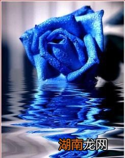 蓝颜知己是一种什么样的关系 什么是蓝颜知己的真正含义