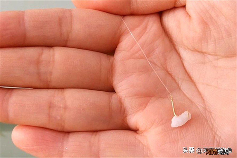 适合天热钓大鲫鱼的饵料配方 野钓大鲫鱼饵用什么