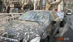 汽车顽固污渍用什么可以洗掉