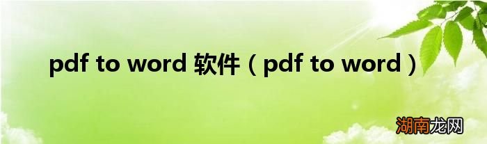 pdf to word pdf to word 软件