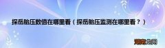 探岳胎压监测在哪里看？ 探岳胎压数值在哪里看