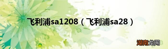飞利浦sa28 飞利浦sa1208