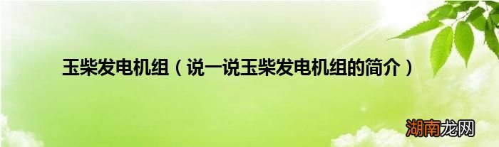 说一说玉柴发电机组的简介 玉柴发电机组