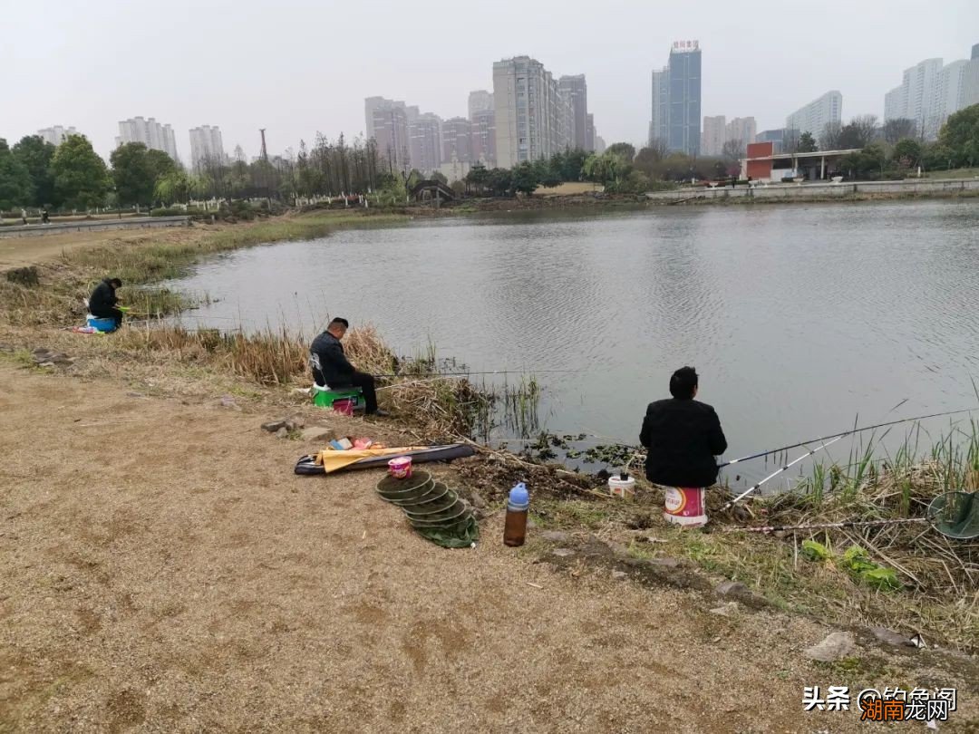 钓鱼有哪些工具是必要装备 钓鱼需要准备哪些东西