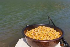 3种钓草鱼最快的打窝方式 用什么打窝诱草鱼最快