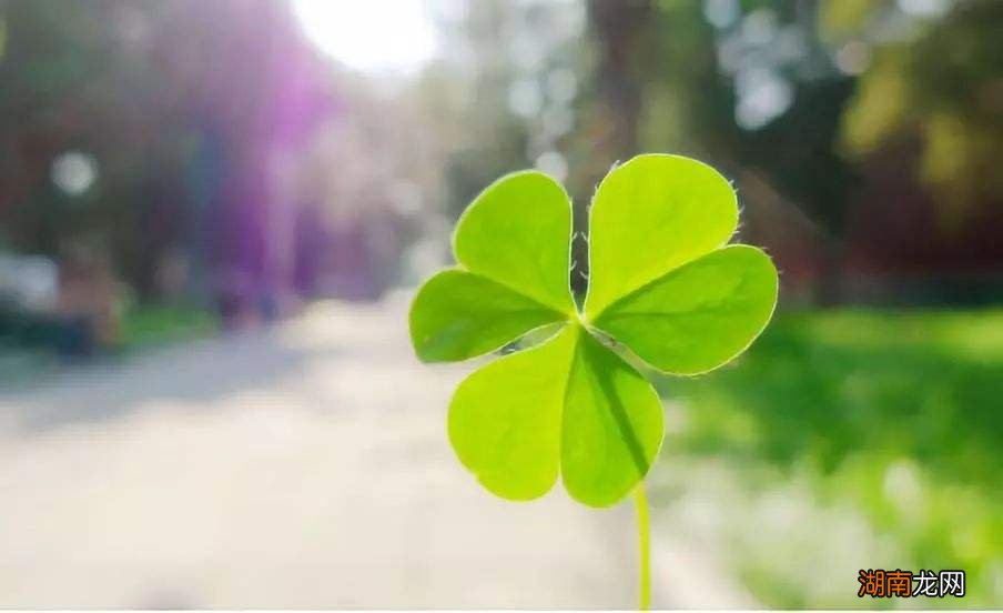 该怎么正视命运对自己的考验方式 人真的是命运的安排吗