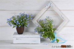 妈妈带女儿再婚会幸福吗 女的离婚带女儿最好别再婚了