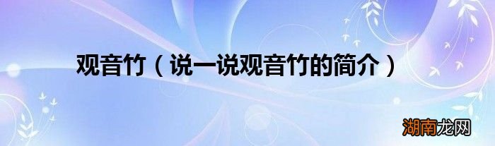 说一说观音竹的简介 观音竹