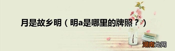 明a是哪里的牌照？ 月是故乡明