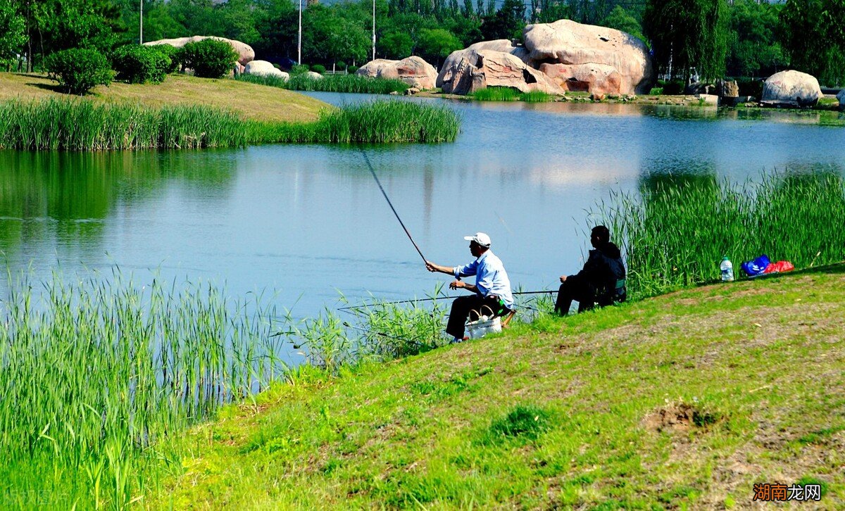 哪几种天气野钓时鱼的胃口好 野钓什么天气鱼开口
