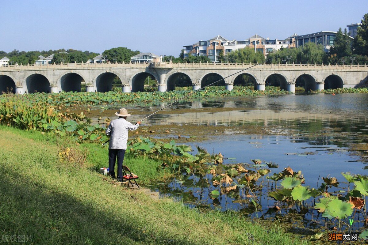 哪几种天气野钓时鱼的胃口好 野钓什么天气鱼开口