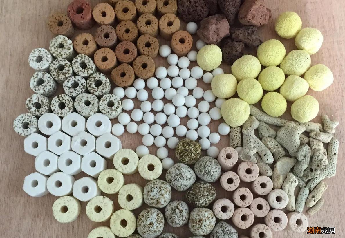 六种最好的常见过滤材料推荐 鱼缸过滤材料有哪些