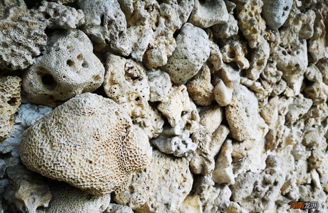 六种最好的常见过滤材料推荐 鱼缸过滤材料有哪些