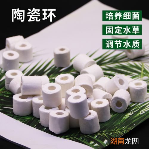 六种最好的常见过滤材料推荐 鱼缸过滤材料有哪些