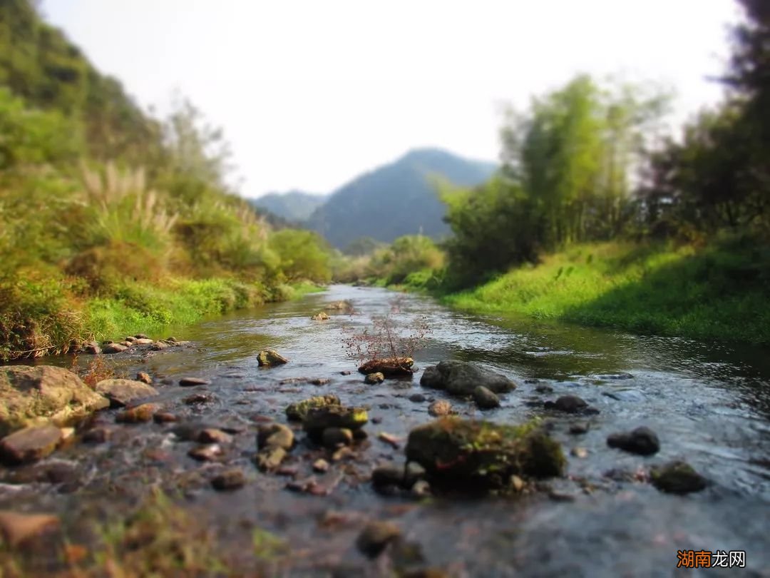 马口鱼的生活习性以及垂钓方法 马口鱼怎么钓两种钓法