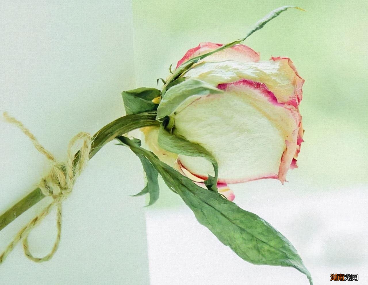 找太穷的婆家过得好痛苦很后悔 嫁给一个穷家庭太可怕了