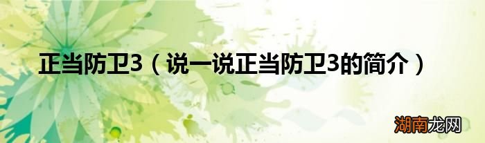 说一说正当防卫3的简介 正当防卫3