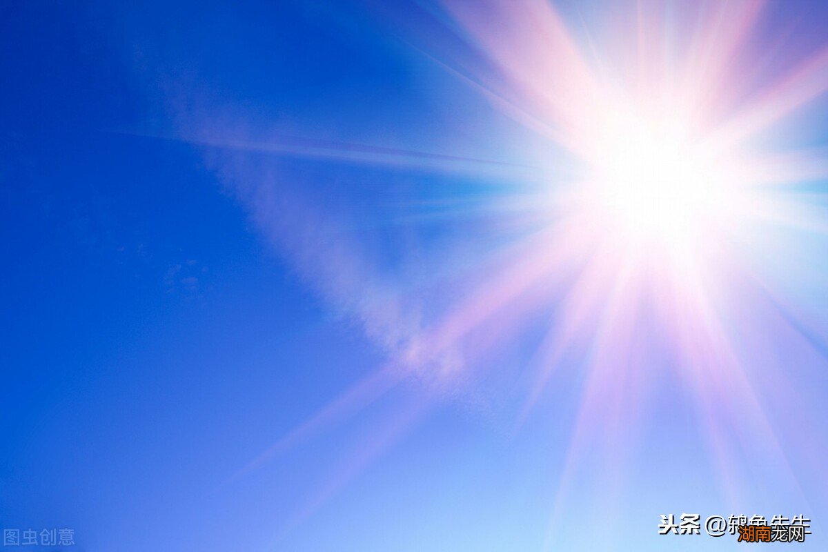 多让乌龟晒太阳有哪些好处 家养乌龟喜欢晒太阳吗