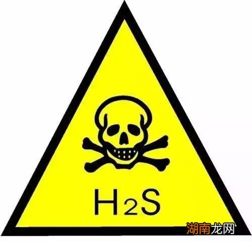 鱼的鼻子是用来做什么的 鱼有鼻子吗有什么作用呢