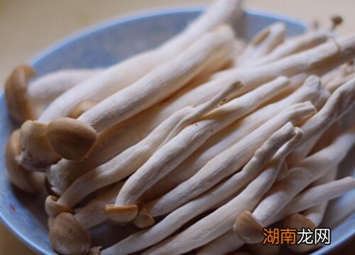 海鲜菇的饮食搭配的禁忌 海鲜菇不焯水可以吃吗