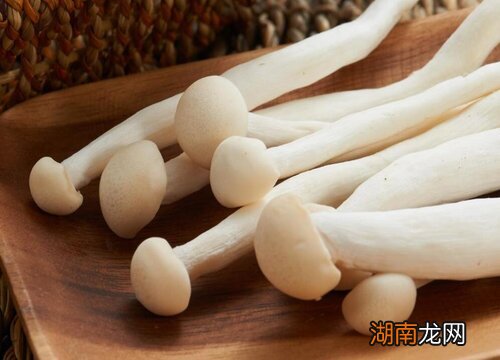 海鲜菇的饮食搭配的禁忌 海鲜菇不焯水可以吃吗