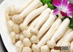 海鲜菇的饮食搭配的禁忌 海鲜菇不焯水可以吃吗